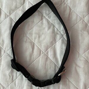 Aspen Pets Dog Collar